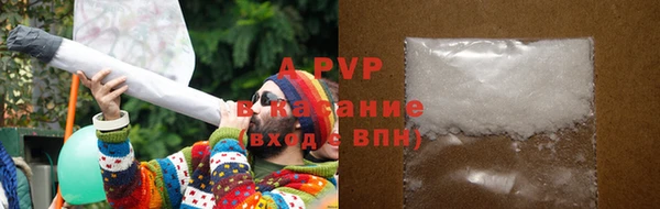 твердый Краснослободск