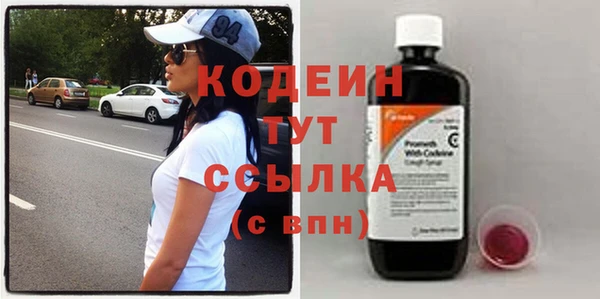 твердый Краснослободск