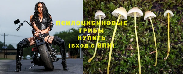 твердый Краснослободск