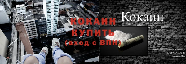 твердый Краснослободск