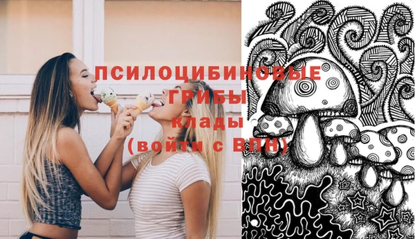 гашик Красноперекопск