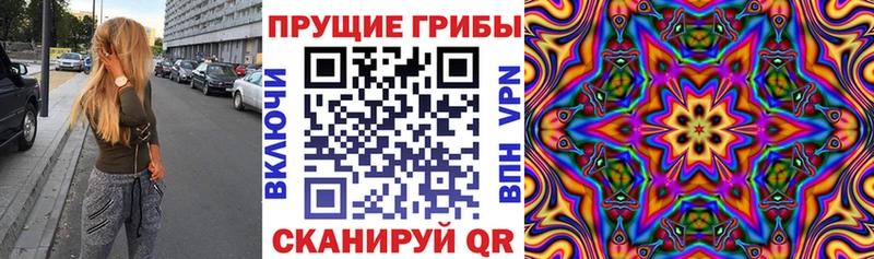 Купить где Бодайбо Псилоцибиновые грибы мухоморы